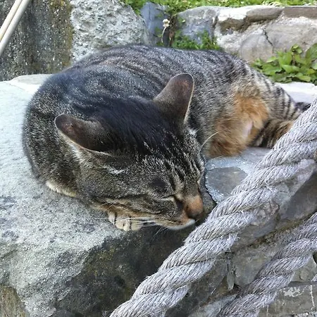 Impronte Nel Bosco 3* Calice al Cornoviglio