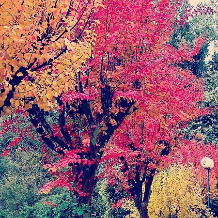 Impronte Nel Bosco B&B Calice al Cornoviglio